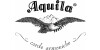 Aquila